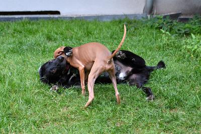 /images/2021-07-08-abends-im-hof/M9F_9596_v2.thumbnail.JPG