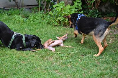 /images/2021-07-08-abends-im-hof/M9F_9637_v2.thumbnail.JPG