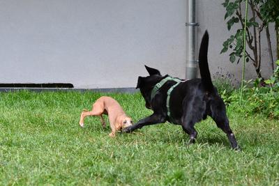 /images/2021-07-08-abends-im-hof/M9F_9658_v2.thumbnail.JPG