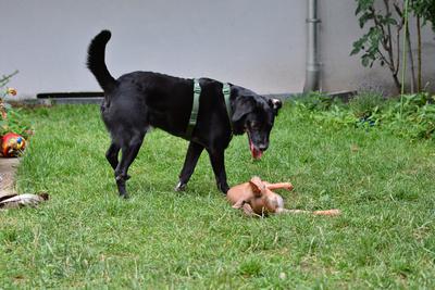 /images/2021-07-08-abends-im-hof/M9F_9659_v2.thumbnail.JPG