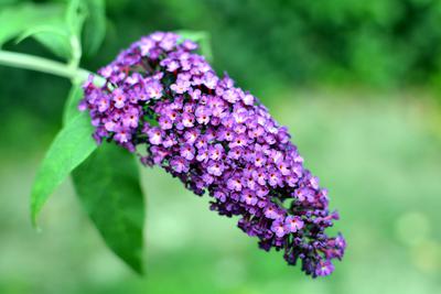 /images/2021-07-08-abends-im-hof/M9F_9672_v2.thumbnail.JPG
