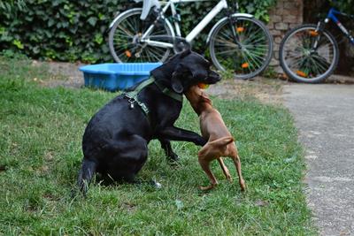 /images/2021-07-08-abends-im-hof/M9F_9679_v2.thumbnail.JPG
