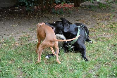 /images/2021-07-08-abends-im-hof/M9F_9685_v2.thumbnail.JPG