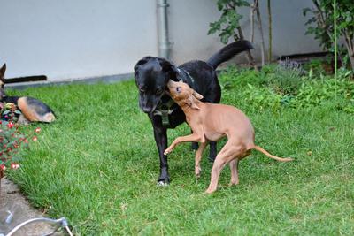 /images/2021-07-08-abends-im-hof/M9F_9700_v2.thumbnail.JPG