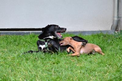 /images/2021-07-08-abends-im-hof/M9F_9738_v2.thumbnail.JPG