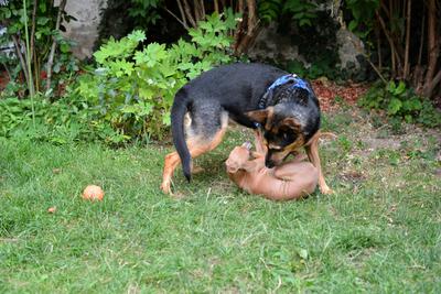/images/2021-07-08-abends-im-hof/M9F_9782_v2.thumbnail.JPG