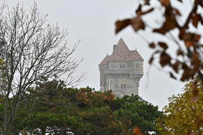 /images/2022-10-29-burg-liechtenstein/M9F_2479_v2.thumbnail.JPG