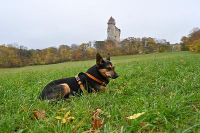 /images/2022-10-29-burg-liechtenstein/M9F_2627_v2.thumbnail.JPG