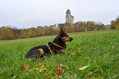 /images/2022-10-29-burg-liechtenstein/M9F_2629_v2.thumbnail.JPG