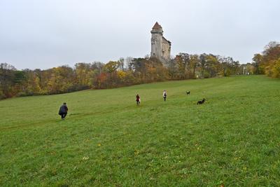/images/2022-10-29-burg-liechtenstein/M9F_2646_v2.thumbnail.JPG